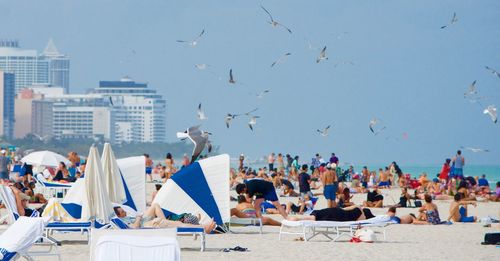 People relaxing at beach with birds flying against clear sky