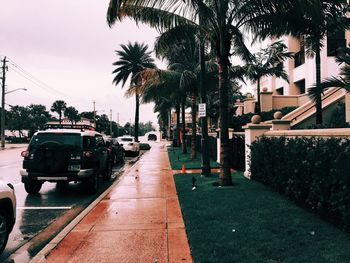 Cars parked by sidewalk against houses in city