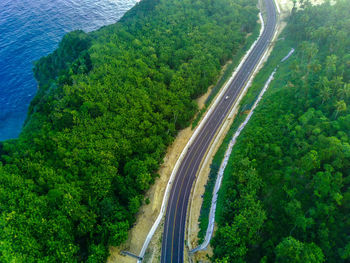 High angle view of road amidst trees