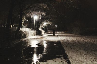 Man walking on road along illuminated trees at night