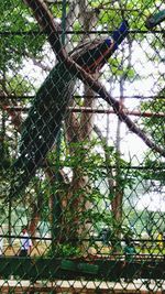 Low angle view of chainlink fence