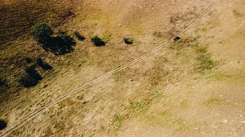 High angle view of footprints on field
