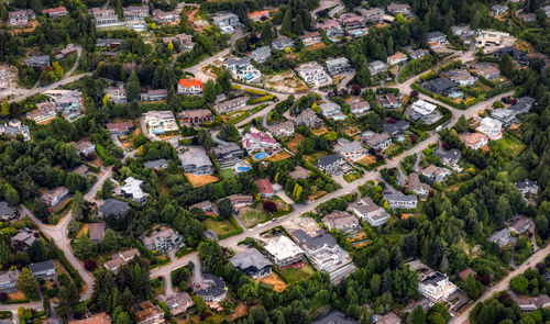 High angle view of trees and buildings in town