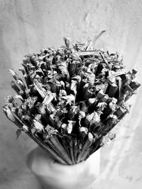 Close-up of plant on table