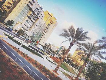 Street by palm trees and buildings against sky