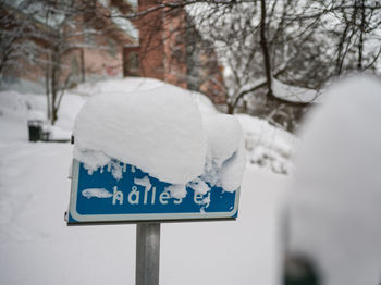 Close-up of snow on tree