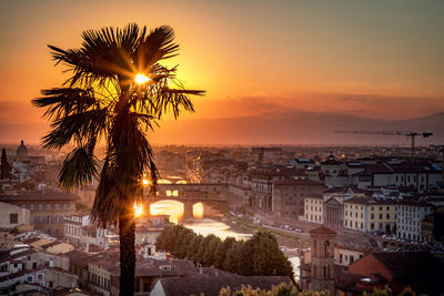 Palm trees and buildings against sky during sunset