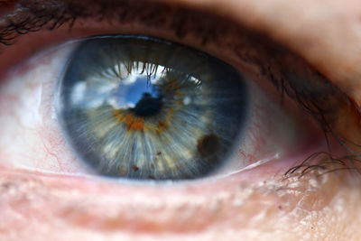 Extreme close-up of human eye