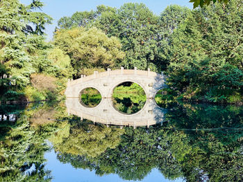 Reflection of trees in lake against sky