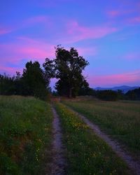 Scenic view of road amidst field against sky during sunset
