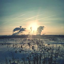 Silhouette plants against sky during sunset