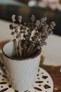 High angle view of coffee and potted plant on table