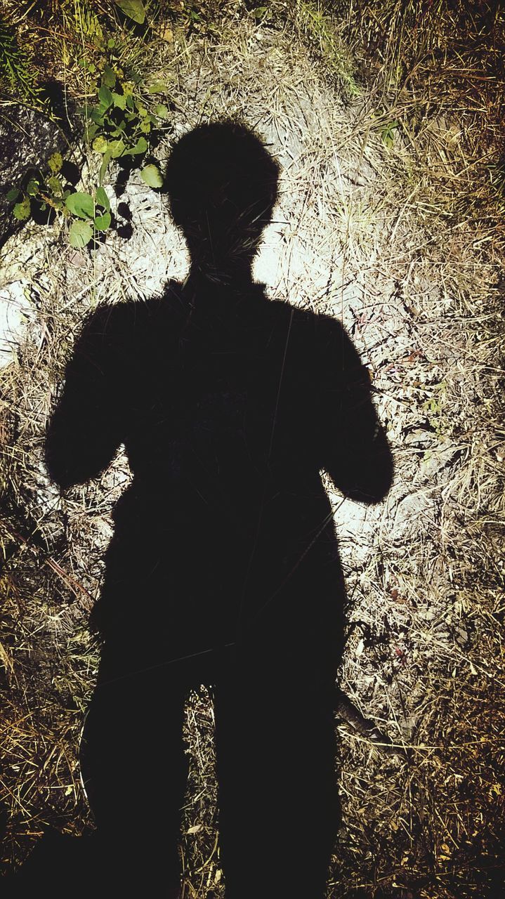 shadow, silhouette, focus on shadow, high angle view, street, sunlight, human representation, lifestyles, puddle, standing, outdoors, leisure activity, unrecognizable person, outline, day, men, reflection