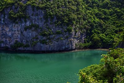 Scenic view of lake by trees