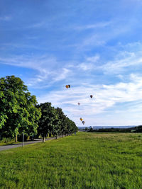 Trees growing on field against sky