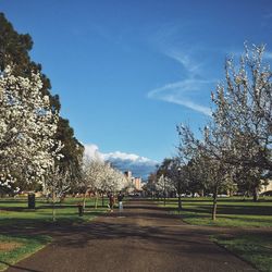 View of park