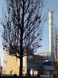 Low angle view of tree and buildings against sky