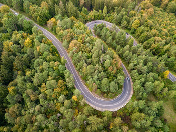 High angle view of road amidst trees in forest