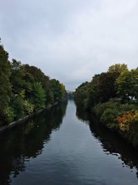 Reflection of trees in water