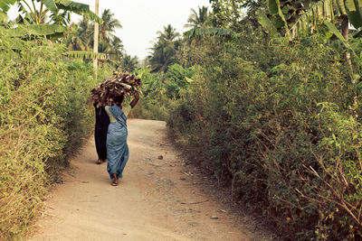 Rear view full length of women carrying logs amidst trees on road