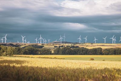 Windmills on field against sky