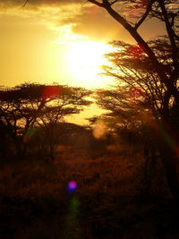 Scenic view of landscape against sky during sunset