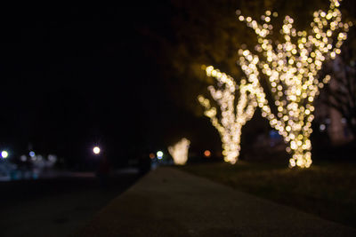 Close-up of illuminated christmas tree at night