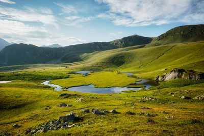 Mountain lake in summer with a flower meadow. blue sky with white clouds