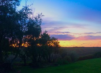 Trees on field against sky at sunset