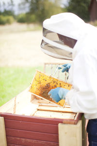 Bee-keeper at work