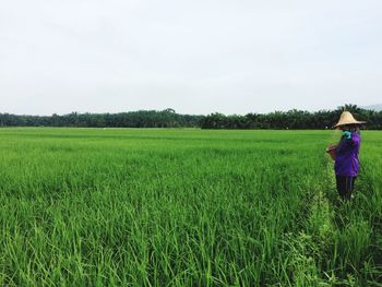 Rear view of woman walking in farm against sky