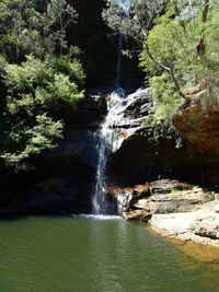 Scenic view of waterfall in forest