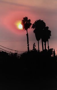 Low angle view of silhouette trees against sky during sunset