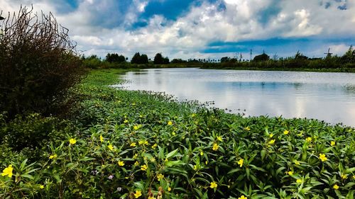 Scenic view of lake against sky