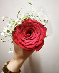 Close-up of hand holding rose bouquet