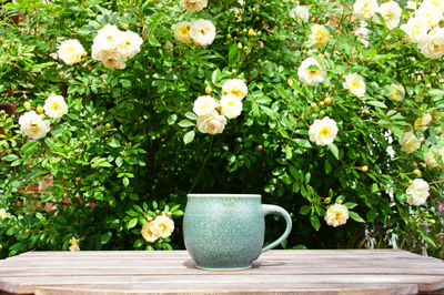 Close-up of white flowers on table