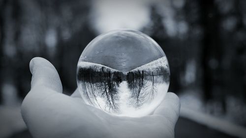 Close-up of hand holding crystal ball with reflection of trees during winter