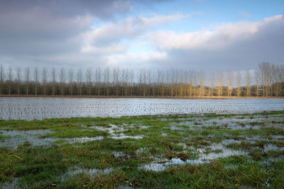 Scenic view of lake against sky