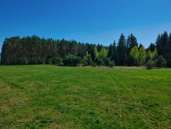 Scenic view of field against clear sky