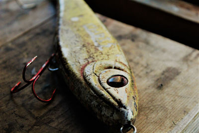 High angle view of old fishing lure on a wooden table