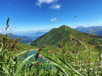 Scenic view of mountains against blue sky