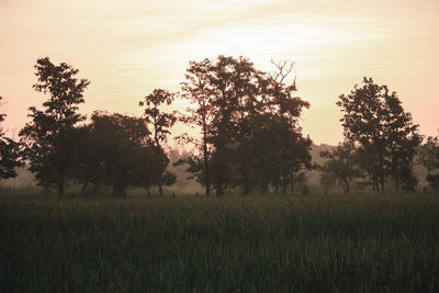 Scenic view of field against sky during sunset