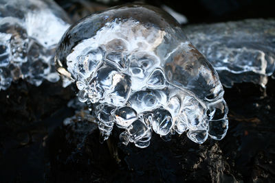 Close-up of ice block looking like alien skull