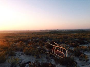 Scenic view of landscape against clear sky