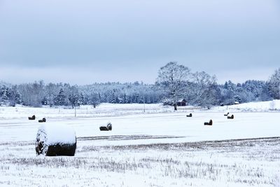 Hay bales on snow covered field