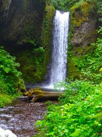 Scenic view of waterfall in forest