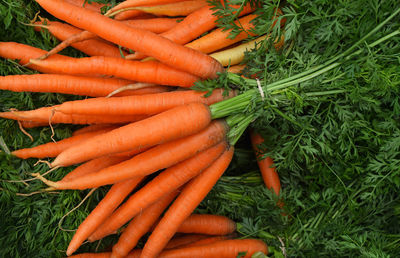 Close-up of carrots for sale in market