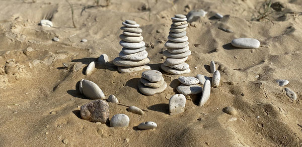 High angle view of shells on sand