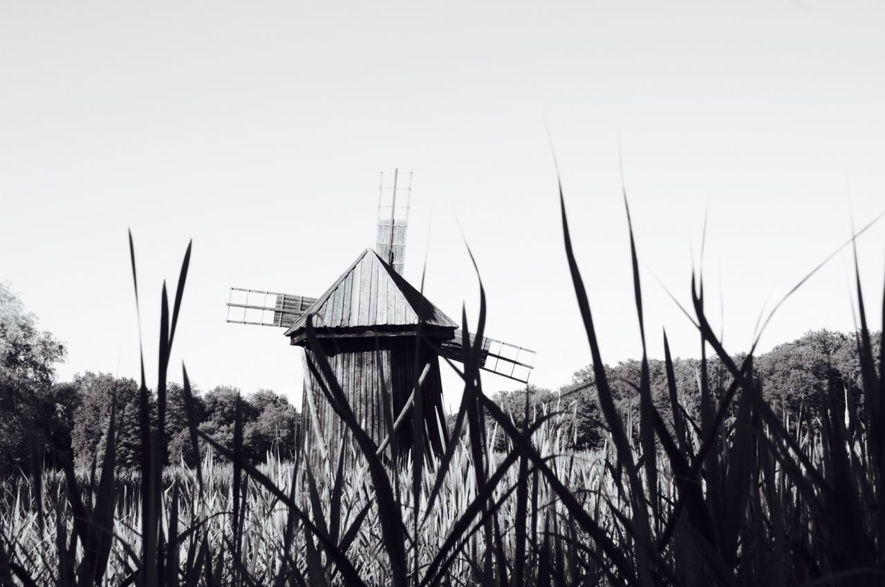 clear sky, windmill, wind power, copy space, alternative energy, field, tranquility, wind turbine, grass, environmental conservation, tranquil scene, renewable energy, nature, plant, growth, landscape, rural scene, traditional windmill, tree, day