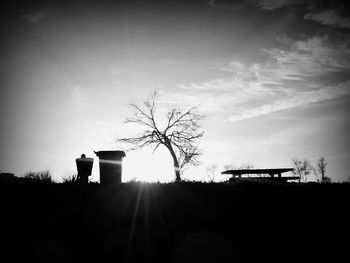 Bare trees against sky